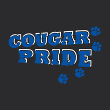 DMS Cougar Pride 2022 - Vneck District Ladies 50/50 T-Shirt